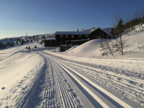 Отель Sulseter Fjellstugu  Винстра